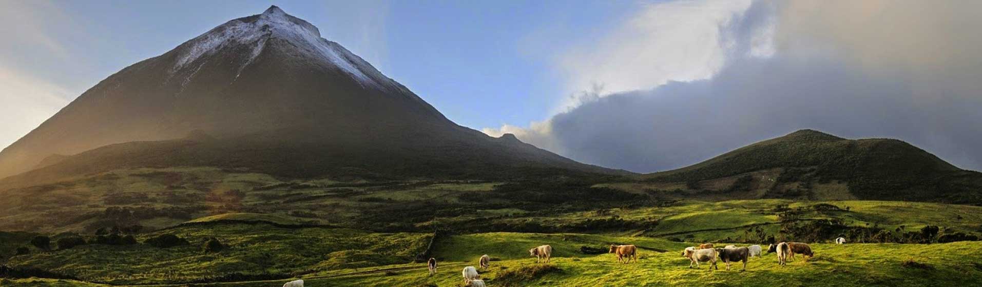 Pico - Cidade